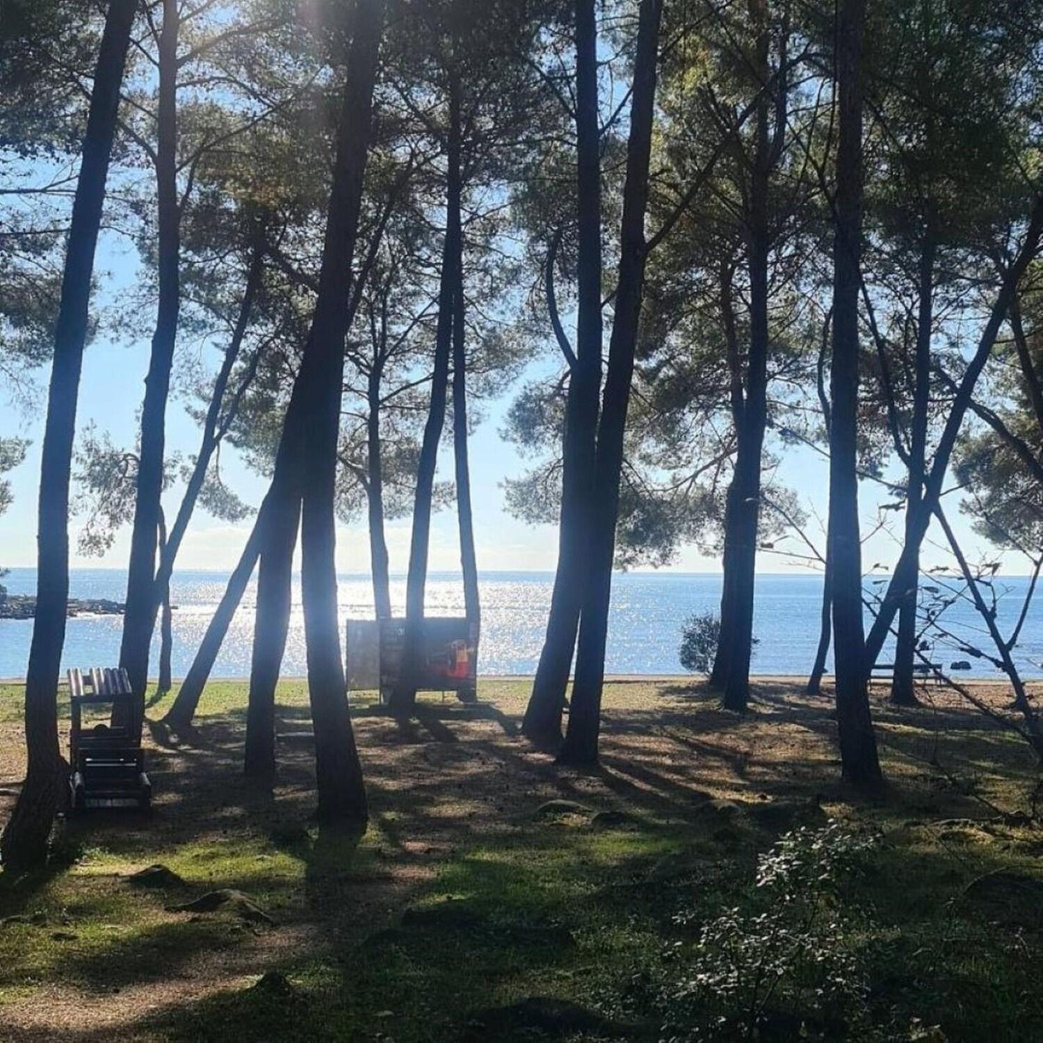 Apartments Berto - 500M To The Beach Rovinj Kültér fotó